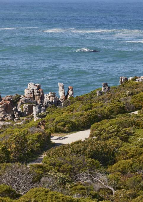 Heartwood Cottage Hermanus Exterior photo